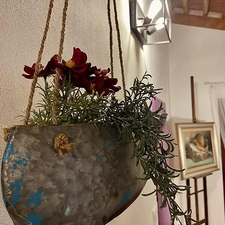 Modi Loft * Livorno