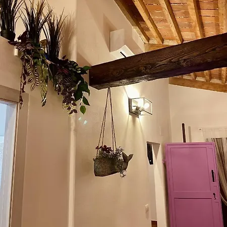Modi Loft * Livorno